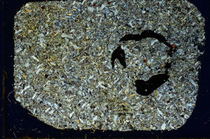 Cross Polarized, ED3326