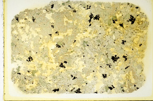 Plane Polarized, ED3348