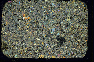 Cross Polarized, ED3359