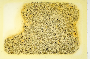 Plane Polarized, ED3390