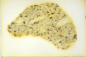 Plane Polarized, ED3391