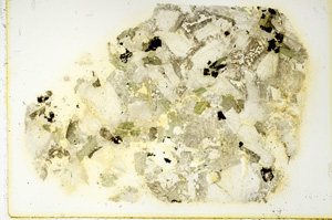 Plane Polarized, ED3398