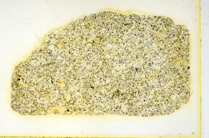 Plane Polarized, ED3409