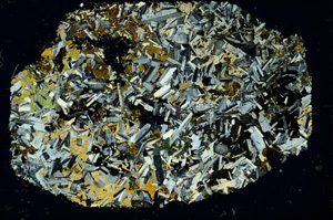 Cross Polarized, ED3416