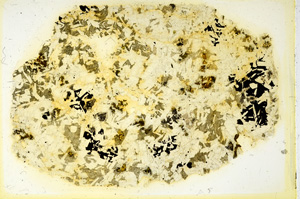 Plane Polarized, ED3416