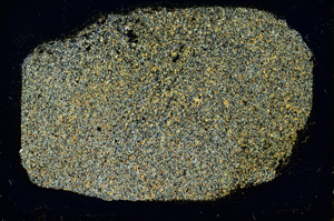 Cross Polarized, ED3418