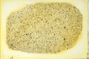 Plane Polarized, ED3418