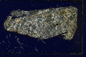 Cross Polarized, ED3419