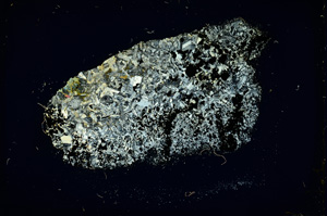 Cross Polarized, ED3422