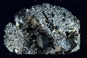 Cross Polarized, ED3424