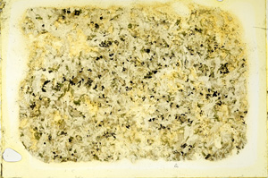 Plane Polarized, ED3442