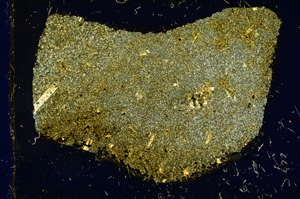 Cross Polarized, ED3473