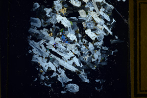 Cross Polarized, ED3479