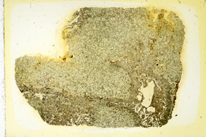 Plane Polarized, ED3495