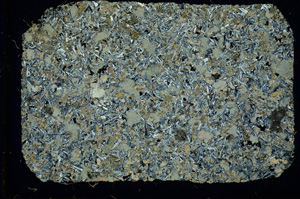 Cross Polarized, ED3516