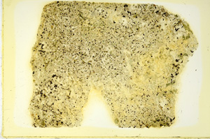 Plane Polarized, ED3518