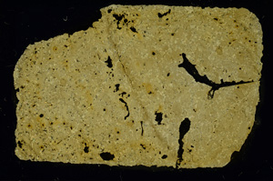 Cross Polarized, ED3523