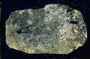 Cross Polarized, ED3543