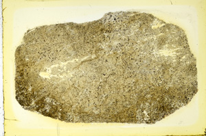 Plane Polarized, ED3543