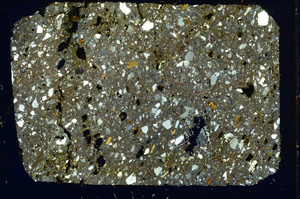 Cross Polarized, ED3559