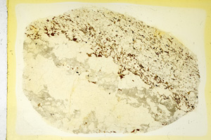 Plane Polarized, ED3567