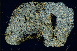 Cross Polarized, ED3572