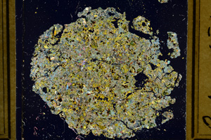 Cross Polarized, ED3591