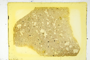 Plane Polarized, ED3598