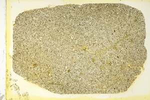 Plane Polarized, ED3610