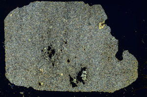 Cross Polarized, ED3615