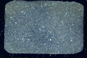 Cross Polarized, ED3621