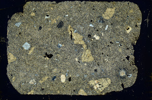 Cross Polarized, ED3645