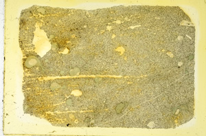 Plane Polarized, ED3647