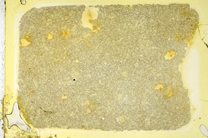 Plane Polarized, ED3666