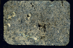 Cross Polarized, ED3687