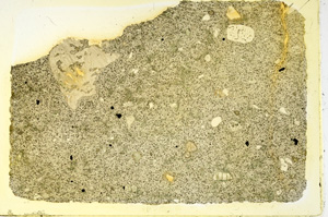 Plane Polarized, ED3692