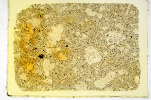 Plane Polarized, ED3701