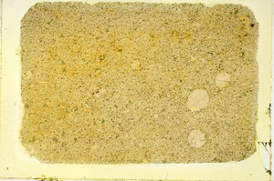 Plane Polarized, ED3706