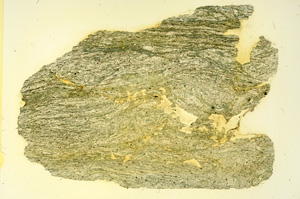 Plane Polarized, ED3760