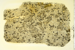 Plane Polarized, ED3773