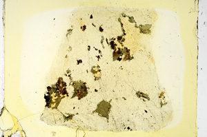 Plane Polarized, ED3813