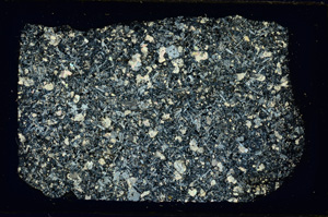 Cross Polarized, ED3836