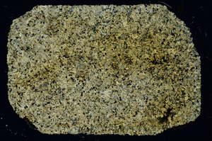 Cross Polarized, ED3866