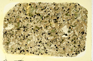 Plane Polarized, ED3879