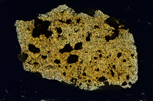 Cross Polarized, ED3881