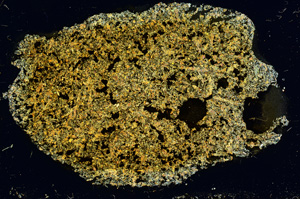 Cross Polarized, ED3883