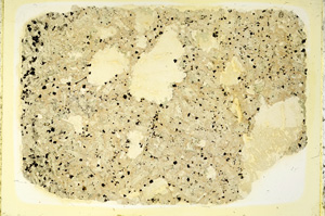 Plane Polarized, ED3894