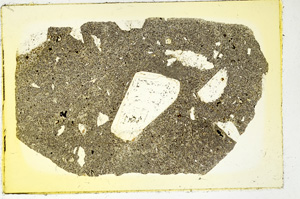 Plane Polarized, ED3912