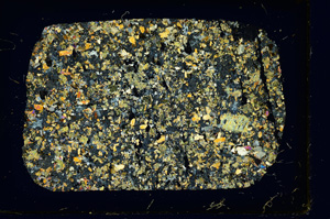 Cross Polarized, ED3915