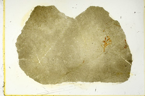 Plane Polarized, ED3933